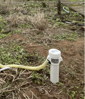 1708585791112602.png image.png